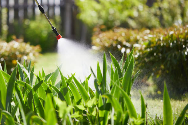 24/7 Emergency Wasp Removal experts in Culpeper, VA