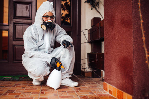Reliable Wasp Removal contractor in Culpeper, VA by Show Me Pest Control